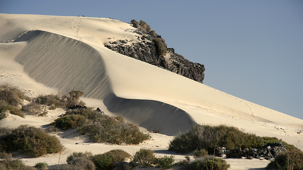 Fuerteventura.png
