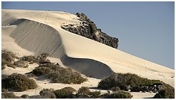 Fuerteventura.png